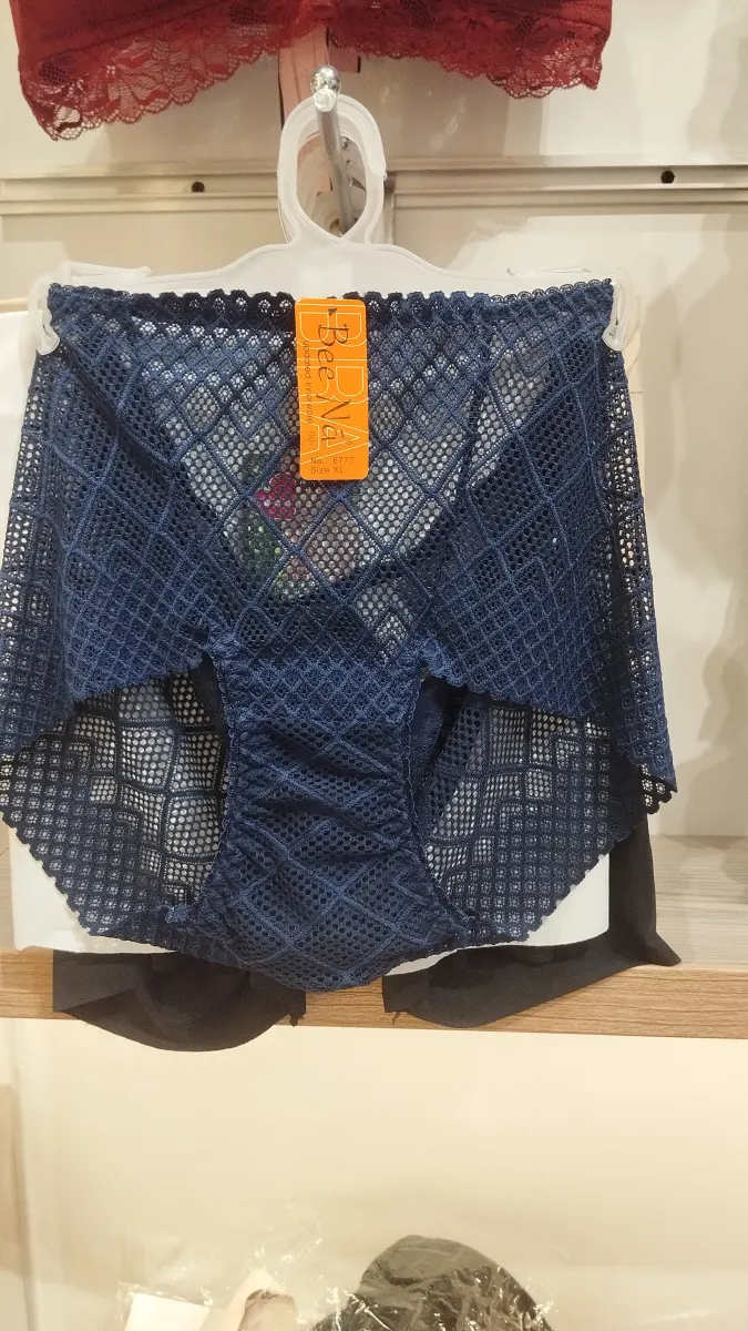 HighwaistNEt penty